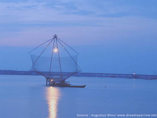 Things to do in Cochin - Watch the Chinese Fishing Nets at work