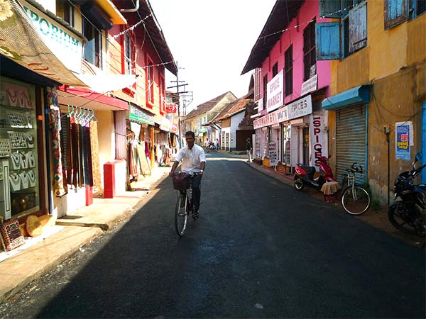 Visit the streets of Kerala on the Munnar tour with goMowgli